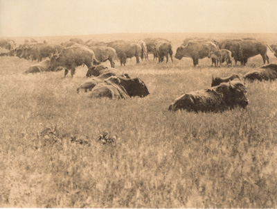 AS IT WAS IN THE OLD DAYS EDWARD CURTIS NORTH AMERICAN INDIAN PHOTO